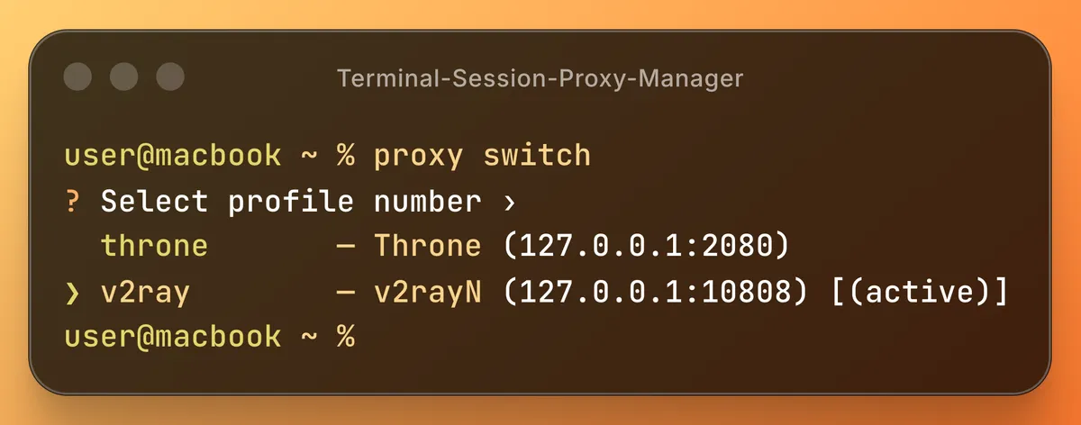 The proxy switch command showing an interactive list of proxy profiles in the terminal