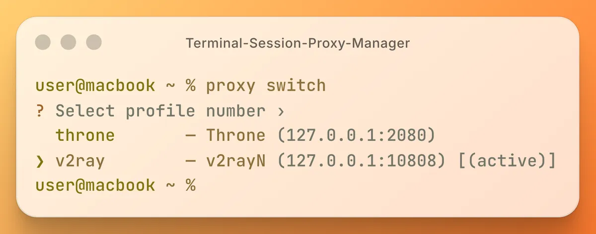 The proxy switch command showing an interactive list of proxy profiles in the terminal